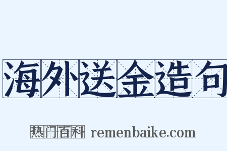 海外送金造句是什么意思的图片